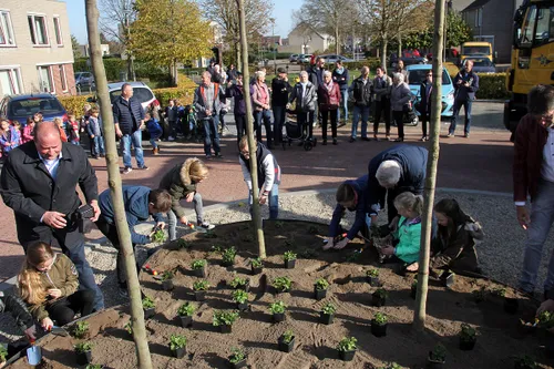 de wissel terug bij de wissel beplanten perkje