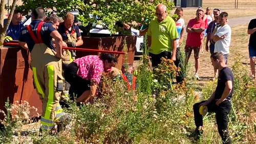 dier in nood schootsvelden sittard