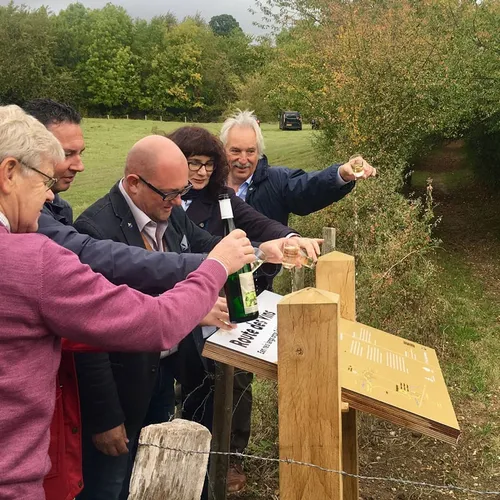 dopen route de vins lr