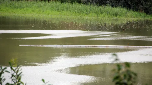 driepoel ondiep waterpeil