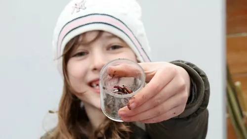 educatieve voedselbosjes rechtenvrij maastricht schoolkind leader zuid limburg