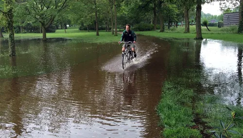 flinke plassen in stadspark 2 juni 2016