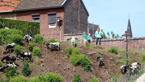 fort sanderbout te grazen genomen 2