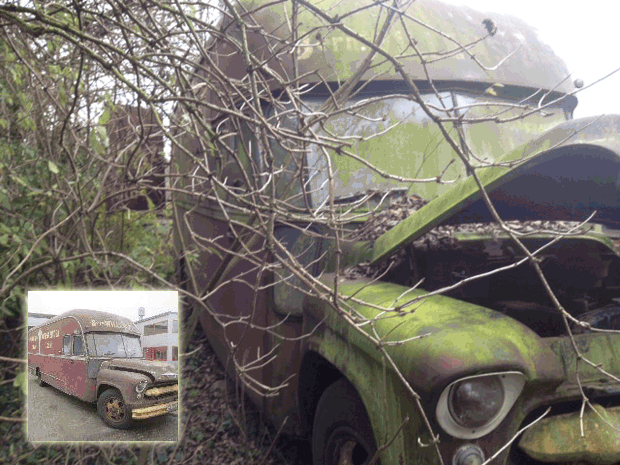 foto 9 animatie restauratiefases