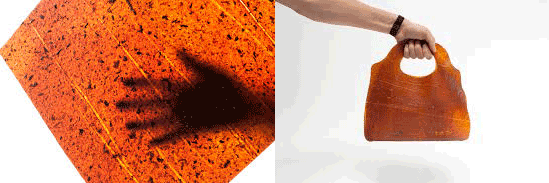 fruitleather 6 002 leer van fruit