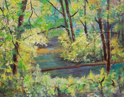 geldernsch nierskanaal toos verhaegh