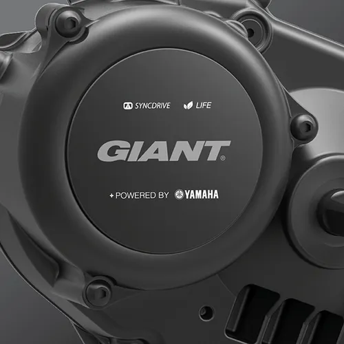 giant store sittard geleen nieuws sittard geleen foto prime e 1 nummer 4