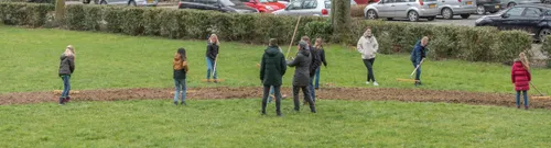 inzaaien bloemenstrook geleen zuid ivo goessens 5