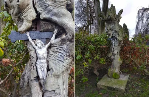 kruisbeeld in boomstronk beekhoverstraat geleen