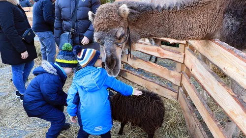 levende kerststal 2019 knuffelhoek 1