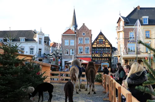 levende kerststal markt sittard 2019