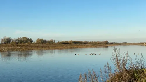 maas bij grevenbicht 23 november 2020 2