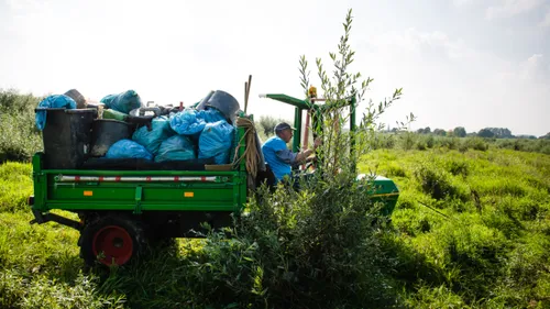 maas cleanup 2021 preview lr 31