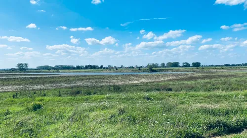 maas cleanup bij roosteren