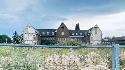 onkruid frans klooster 25 juli 2021 1