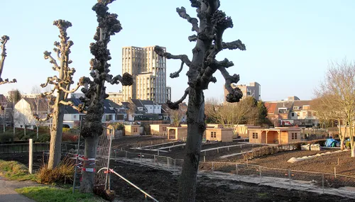 oostelijke schootsvelden opgeleverd 3
