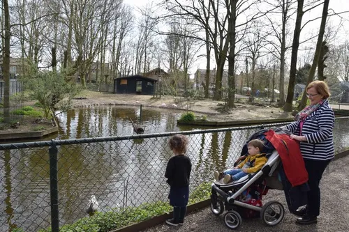 opa en omadag kasteelpark born