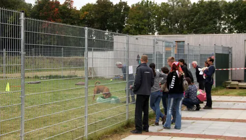 open dag dierenbeschermingscentrum limburg werelddierendag 2015 1
