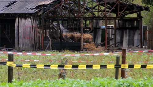paardenstal afgebrand 3