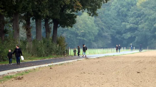 paddenstoelentocht 2