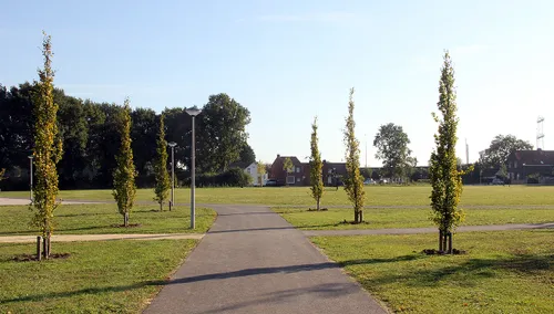 park dn dreesj klaar