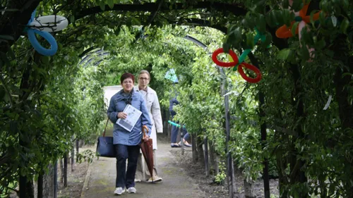 perenlaantje in ursulinentuin