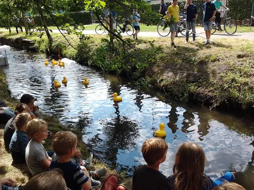 philharmonie badeendenrace sittard 2014