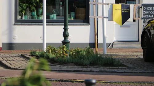 plantjes begieten oud geleen 2