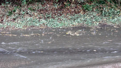 plensbuien sittard 20 juli 2019 2