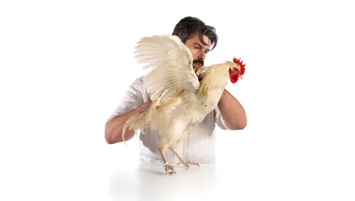 portrait koenvanmechelen 003