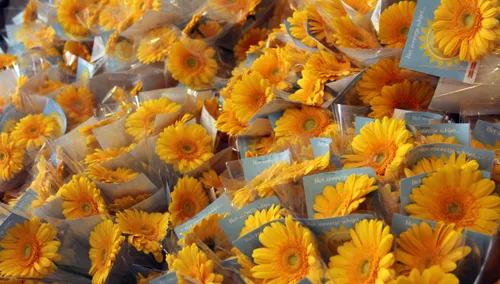 rijksweg sittard ondernemers bloemetje voor trouwe klanten 1