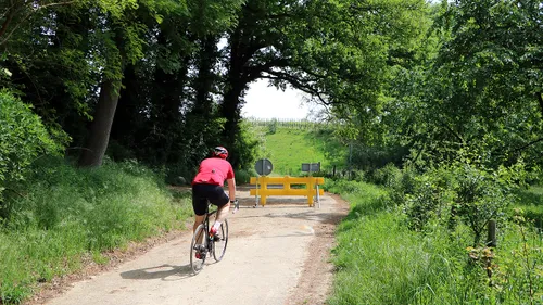 scheefstaande bomen hoddelslei munstergeleen 2
