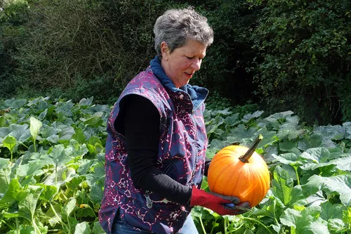 sierkalebassen agnetentuin 2