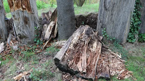 speelbos sjabolleke 2