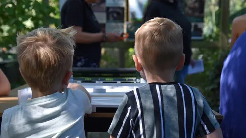 spelletjes opa en omadag kasteelpark born