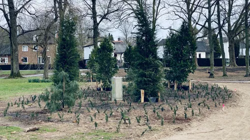 stadspark nieuwe aanplant 1