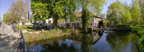 terras vief heringe peter bastings