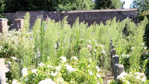 ursulinentuin overwoekerde begraafplaats zusters