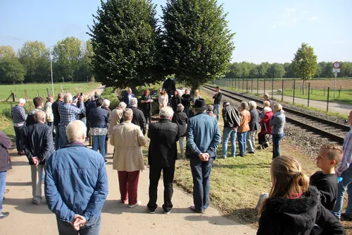 veldkruis limbricht 3