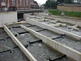 vistrap bij eci roermond