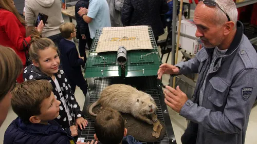 waterschap limburg bestrijding beverrat