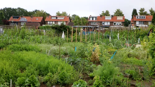 weelderig mooshocc88fke 2