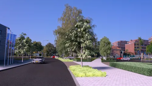 werkzaamheden mgr claessensstraat sittard