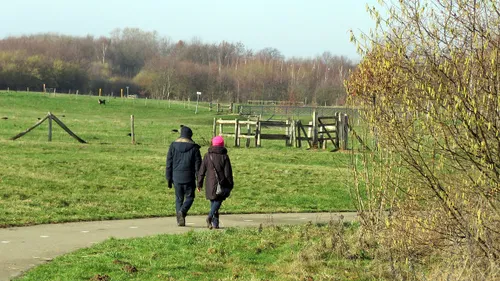 winter januari 2018 tom bloem 2 wandelen wadelweer