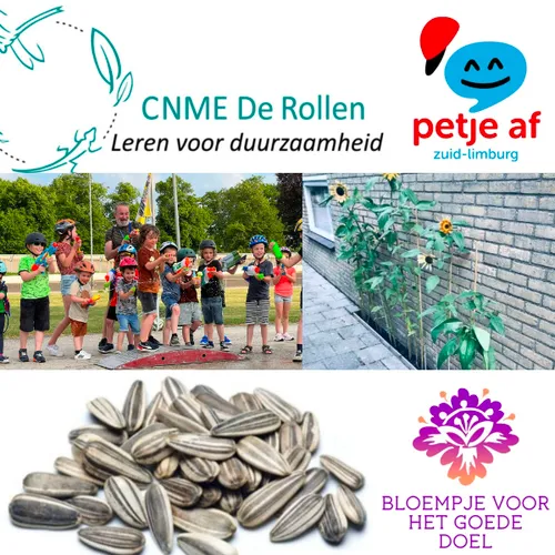 zonnebloempittenactie en waterpistolen challende