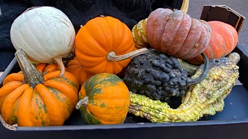 inspired shopping 2024