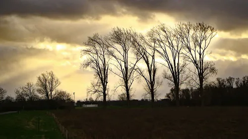 Aan de Maas bij Grevenbicht