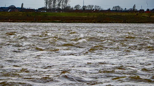 Hoog staande en wild stromende Maas ter hoogte van de oversteekplek (april-oktober) van fietsers- en voetgangersveer 't Veerke