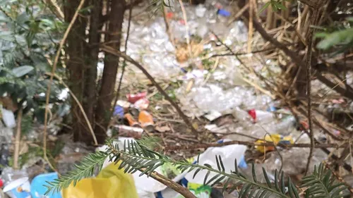 Zwerfvuil in de struiken in het Limbrichterveld, omgeving winkelcentrum: een zwerfvuil-hotspot,