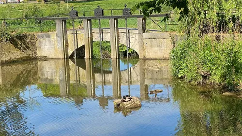 Een woerd in z'n eentje - had geen last van de drukte op een steenworp afstand.